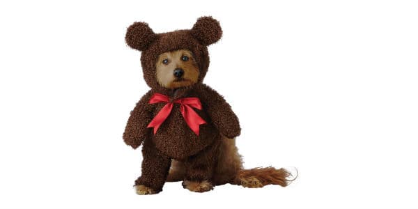 5 Costume Ideas for Your Shihpoo this Halloween