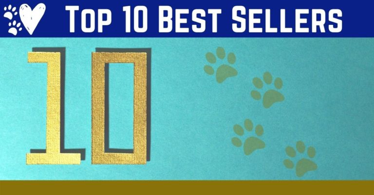 Top 10 Best Selling Shihpoo Products for 2021