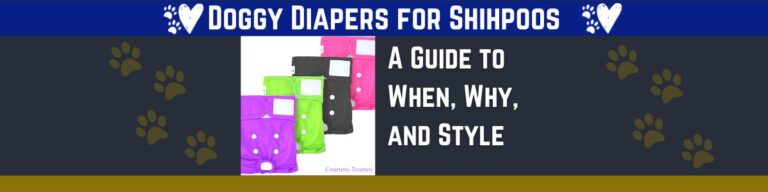 Doggy Diapers for Shihpoos Who Love Clean and Happy