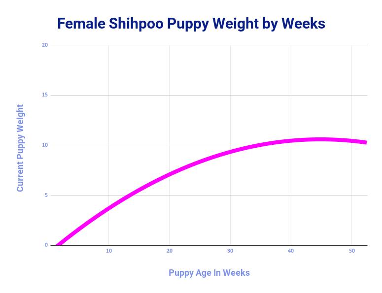 adult shih poo size of females during first year